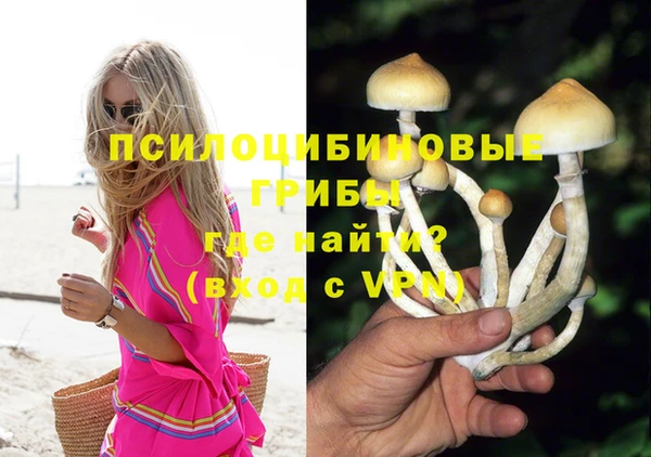 дмт Балахна