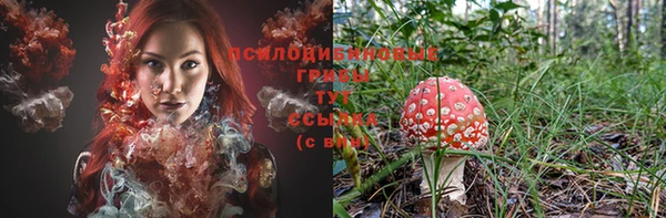 дмт Балахна